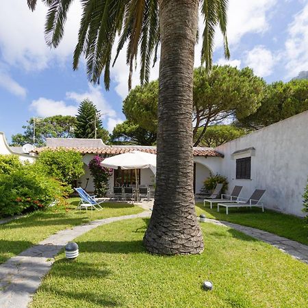 Villetta Con Giardino Esclusivo Di 1000 Mq, Piscina, Tennis, Calcio, Bocce Forio di Ischia Zewnętrze zdjęcie