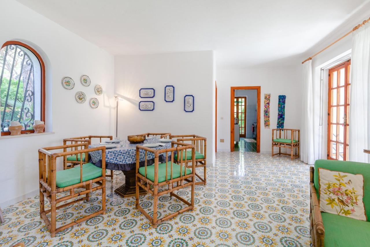Villetta Con Giardino Esclusivo Di 1000 Mq, Piscina, Tennis, Calcio, Bocce Forio di Ischia Zewnętrze zdjęcie