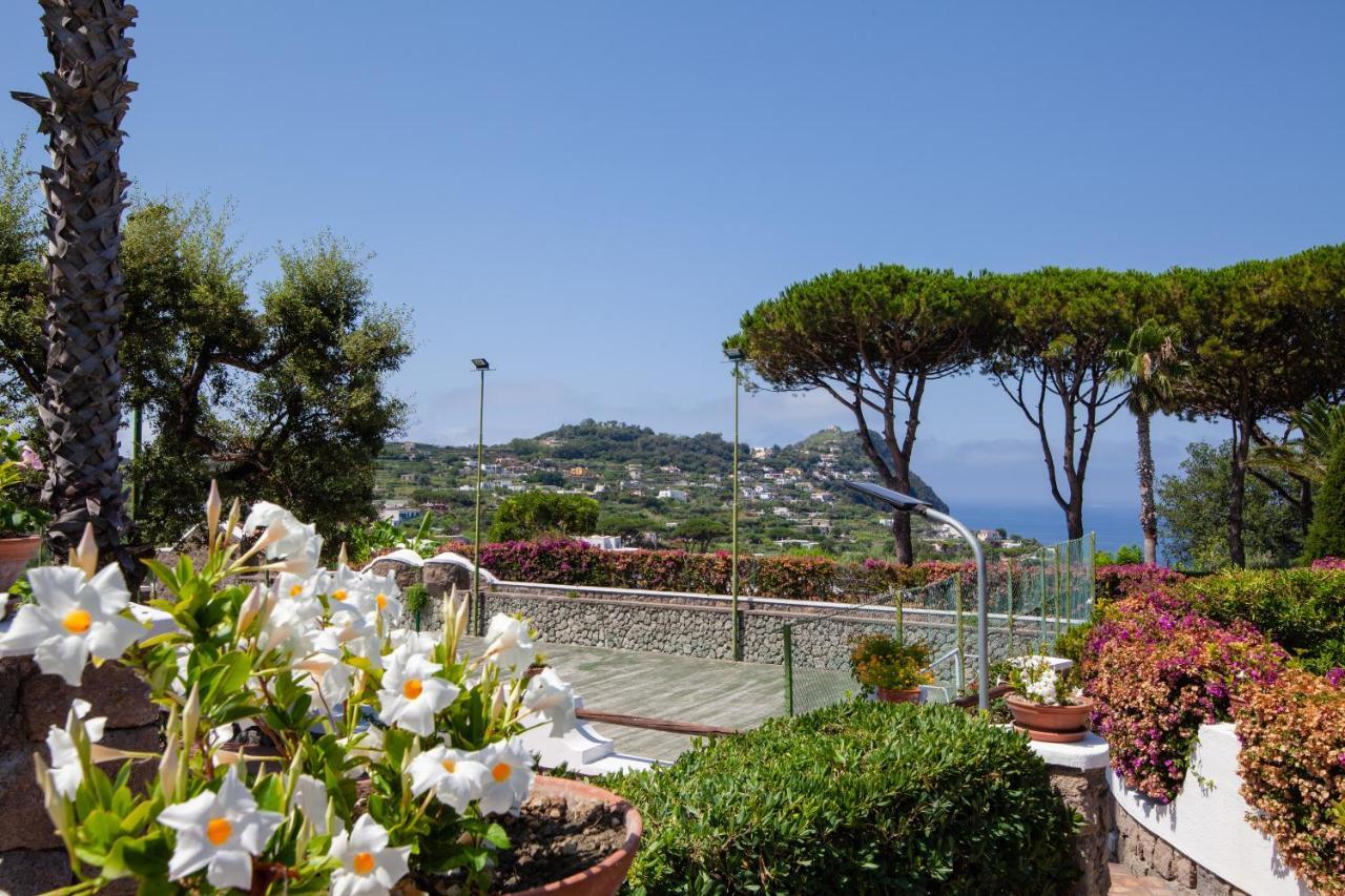 Villetta Con Giardino Esclusivo Di 1000 Mq, Piscina, Tennis, Calcio, Bocce Forio di Ischia Zewnętrze zdjęcie