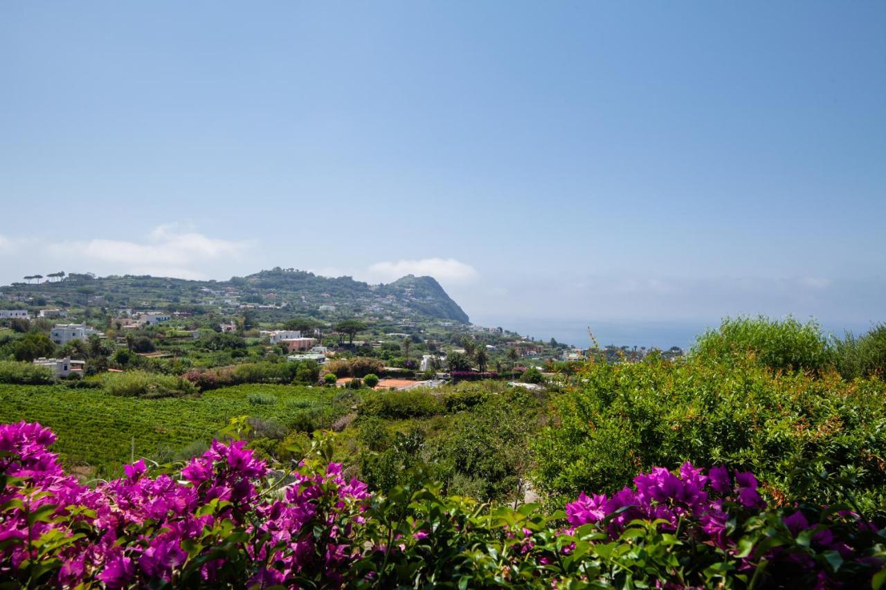 Villetta Con Giardino Esclusivo Di 1000 Mq, Piscina, Tennis, Calcio, Bocce Forio di Ischia Zewnętrze zdjęcie