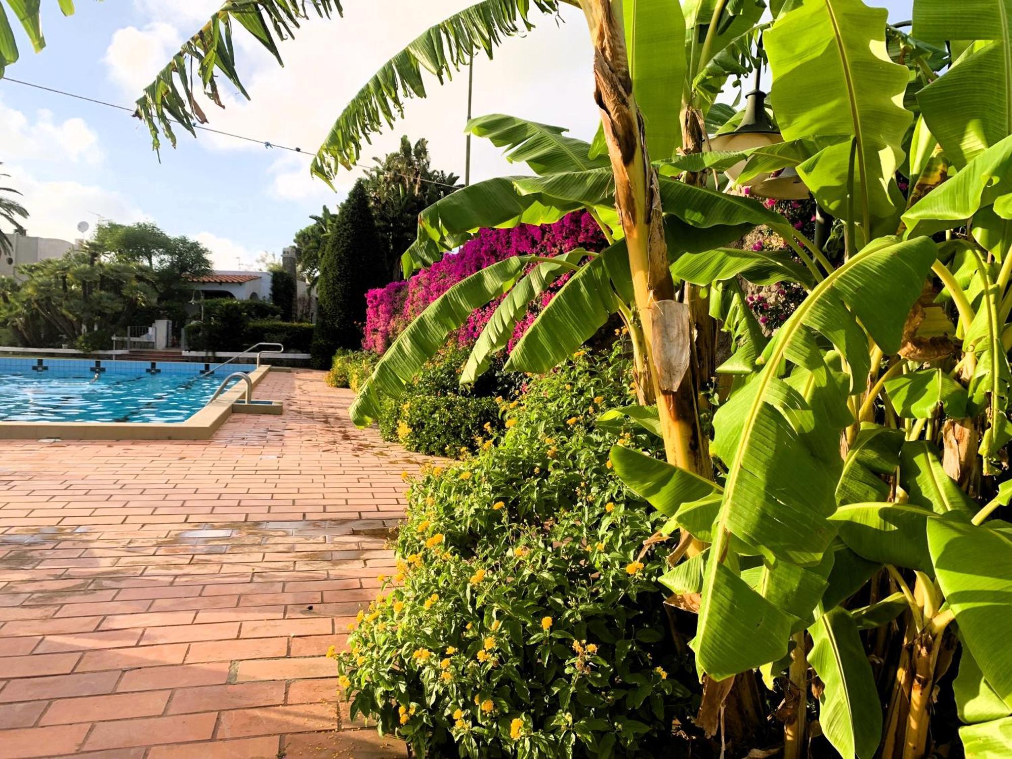 Villetta Con Giardino Esclusivo Di 1000 Mq, Piscina, Tennis, Calcio, Bocce Forio di Ischia Zewnętrze zdjęcie