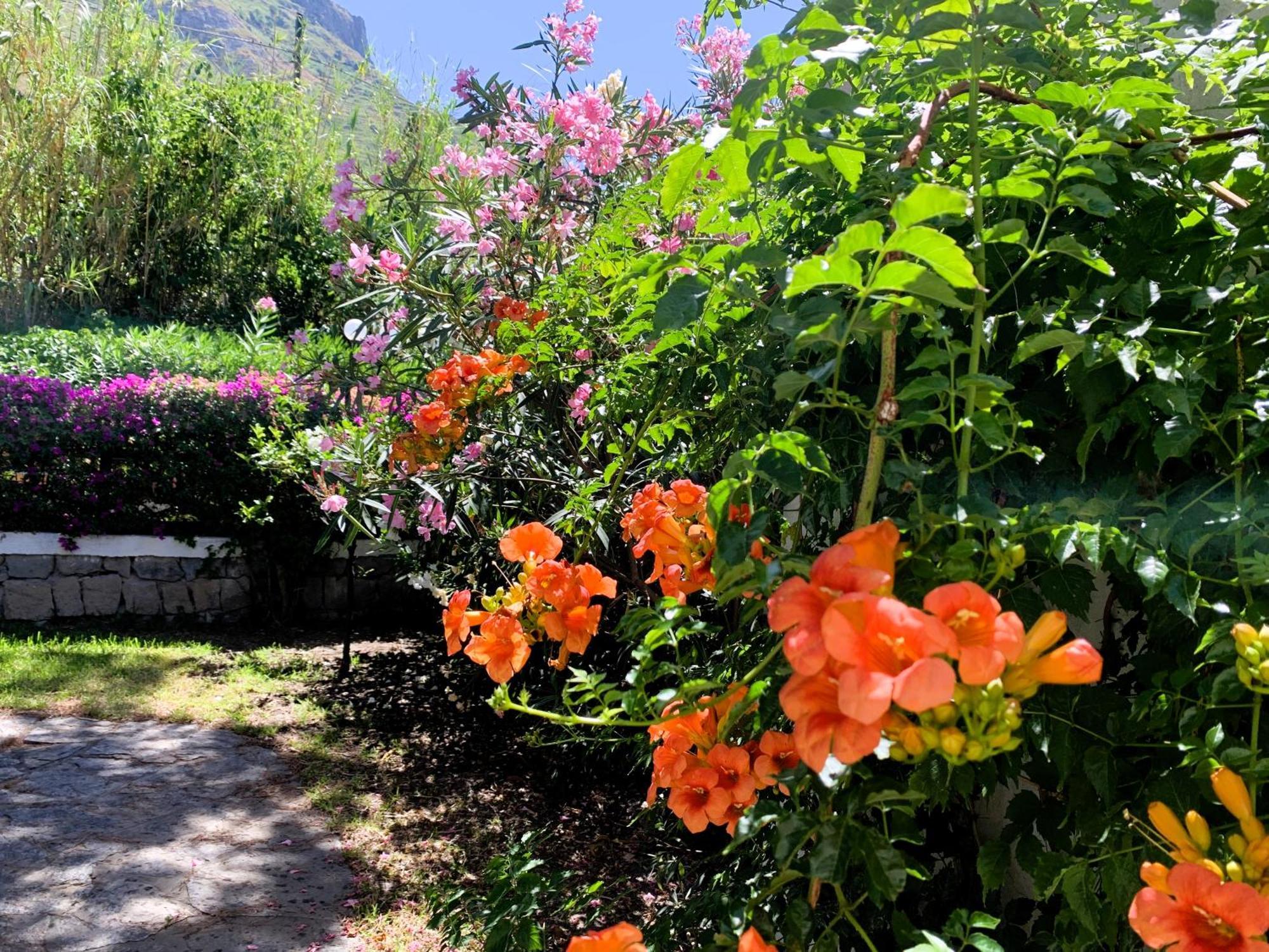 Villetta Con Giardino Esclusivo Di 1000 Mq, Piscina, Tennis, Calcio, Bocce Forio di Ischia Zewnętrze zdjęcie