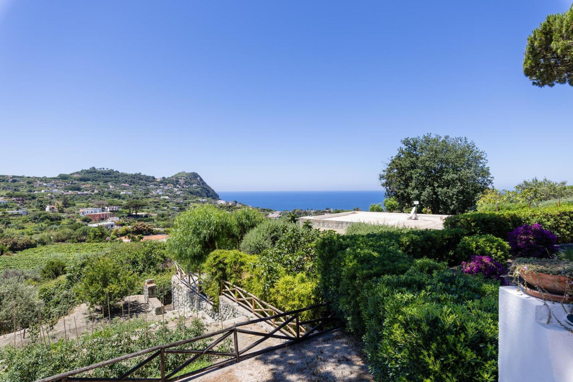 Villetta Con Giardino Esclusivo Di 1000 Mq, Piscina, Tennis, Calcio, Bocce Forio di Ischia Zewnętrze zdjęcie
