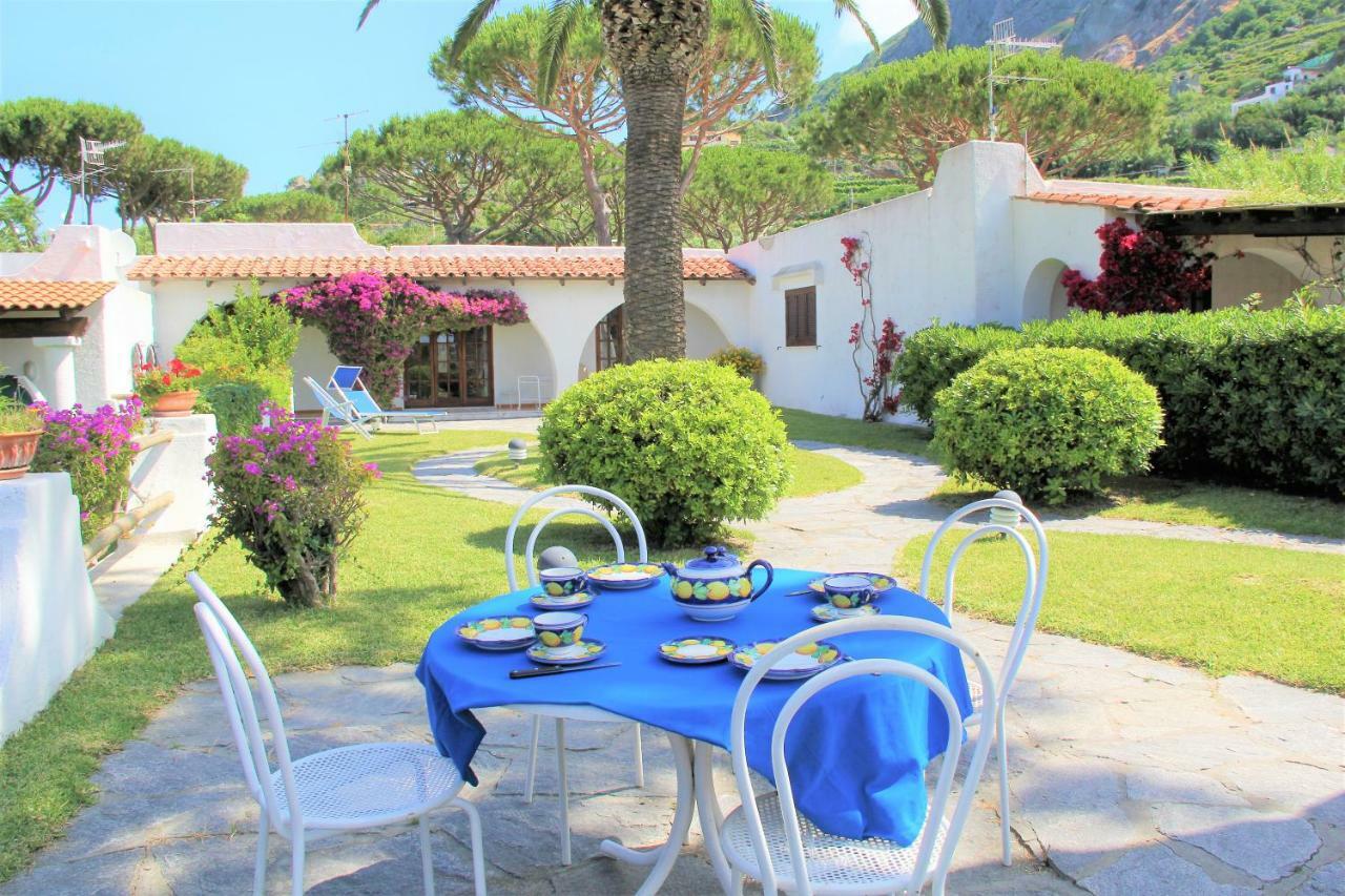 Villetta Con Giardino Esclusivo Di 1000 Mq, Piscina, Tennis, Calcio, Bocce Forio di Ischia Zewnętrze zdjęcie