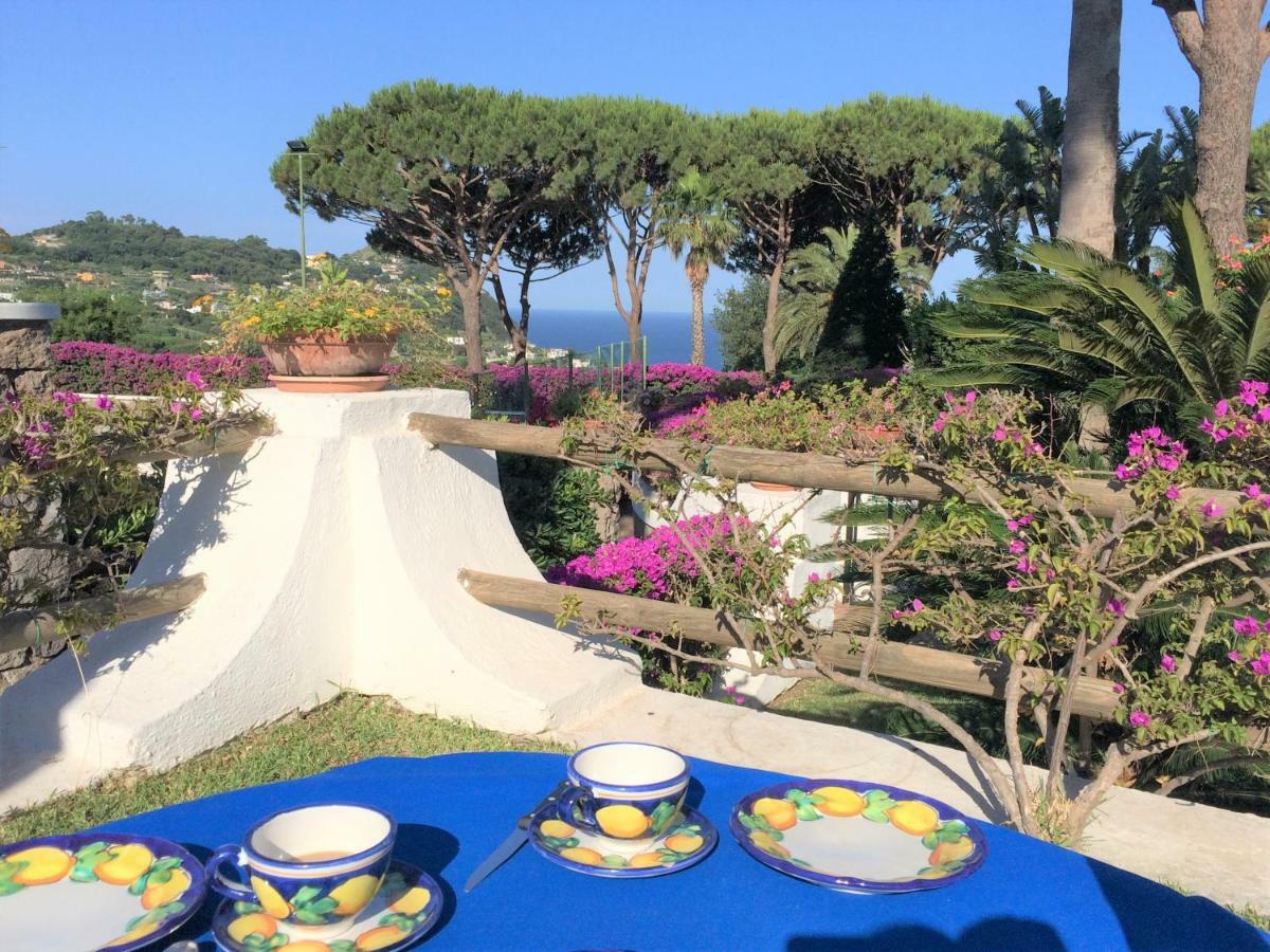 Villetta Con Giardino Esclusivo Di 1000 Mq, Piscina, Tennis, Calcio, Bocce Forio di Ischia Zewnętrze zdjęcie